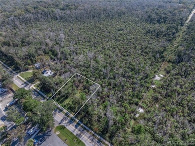 Almost half an acre in the middle of old Homosassa and close to - photo 6