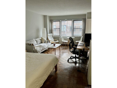 Lake Condo For Sale in New York (Manhattan), New York