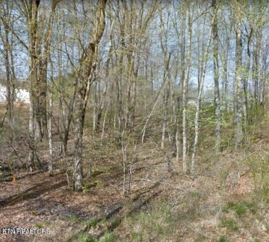 Hiawatha Lake Lot For Sale in Crossville Tennessee