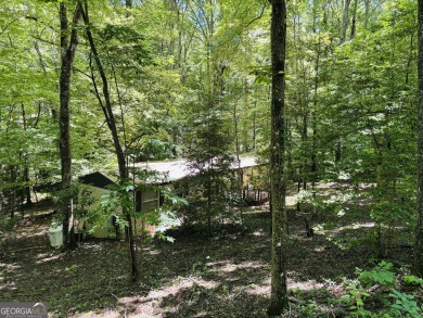 Lake Home For Sale in Hiawassee, Georgia