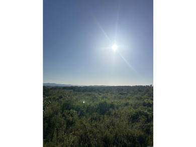 Approximately 40 acres with panoramic views of Lake Maumelle and - photo 11