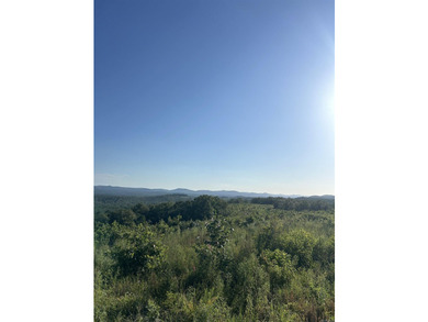 Approximately 40 acres with panoramic views of Lake Maumelle and - photo 12