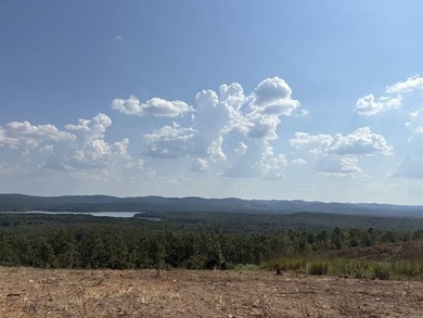 Approximately 40 acres with panoramic views of Lake Maumelle and - photo 14