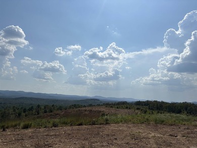 Approximately 40 acres with panoramic views of Lake Maumelle and - photo 15