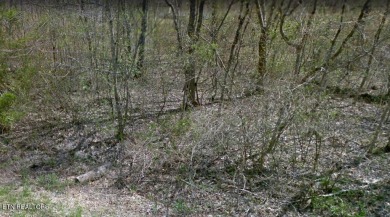 Hiawatha Lake Lot For Sale in Crossville Tennessee