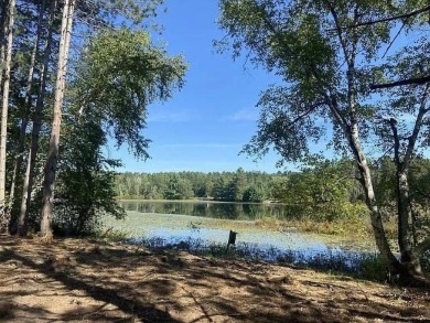 Lake Alice Acreage For Sale in Tomahawk Wisconsin