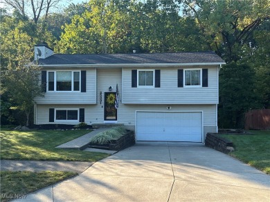 Lake Home For Sale in Olmsted Falls, Ohio