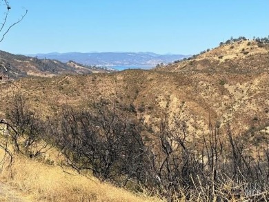Lake Berryessa Acreage For Sale in Napa California