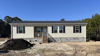 Brand new home offered exclusively to families who qualify - photo 3