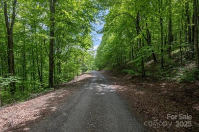 (private lake, pond, creek) Lot For Sale in Waynesville North Carolina