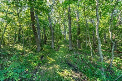 Discover your own private retreat on Third Silver Lake! This - photo 24