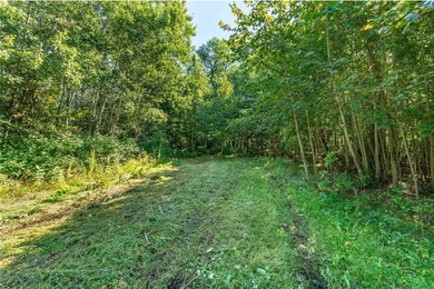 Discover your own private retreat on Third Silver Lake! This - photo 27