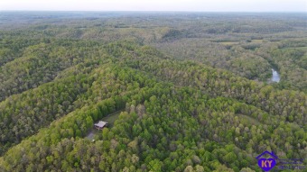 Green River - Adair County  Home For Sale in Casey Creek Kentucky
