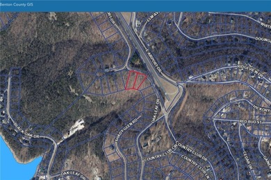 Two lake area lots in Lost Bridge Village with sloping terrain - photo 2