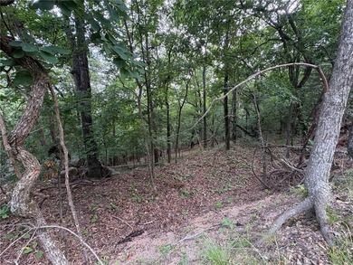 Two lake area lots in Lost Bridge Village with sloping terrain - photo 3
