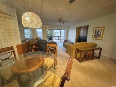 Level Entry, Fully furnished 2/2 with an awesome view and a boat - photo 3
