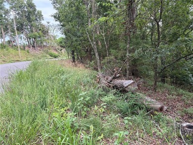 Two lake area lots in Lost Bridge Village with sloping terrain - photo 4