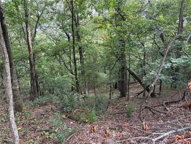 Two lake area lots in Lost Bridge Village with sloping terrain - photo 5