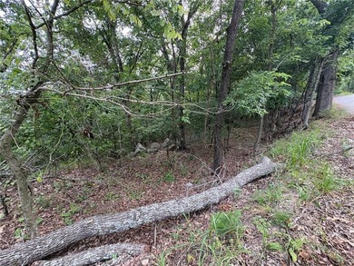 Two lake area lots in Lost Bridge Village with sloping terrain - photo 6