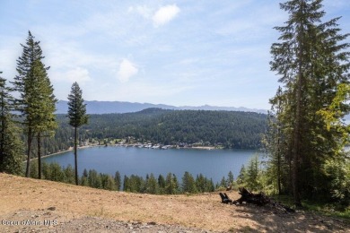 Lake Acreage For Sale in Sagle, Idaho