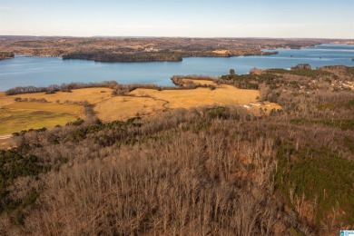 Lake Guntersville Acreage For Sale in Guntersville Alabama