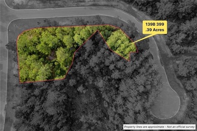 Seize the opportunity to own a 0.39-acre lot in the desirable - photo 3