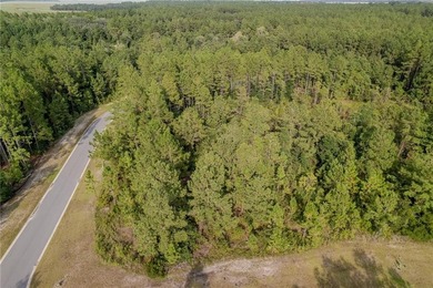 Seize the opportunity to own a 0.39-acre lot in the desirable - photo 4