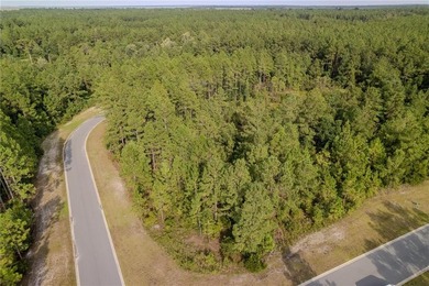 Seize the opportunity to own a 0.39-acre lot in the desirable - photo 5