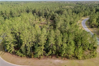 Seize the opportunity to own a 0.39-acre lot in the desirable - photo 6