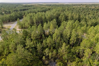 Seize the opportunity to own a 0.39-acre lot in the desirable - photo 7