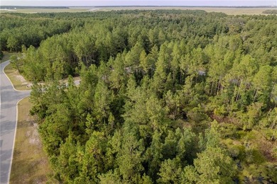 Seize the opportunity to own a 0.39-acre lot in the desirable - photo 8