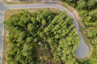 Seize the opportunity to own a 0.39-acre lot in the desirable - photo 9