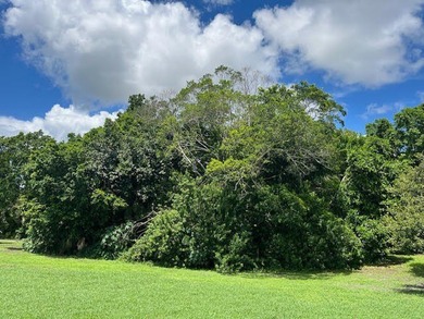 Organic farm, 2.79 acres of upland pasture after carving out the - photo 9