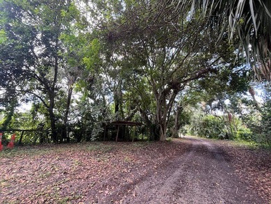 Organic farm, 2.79 acres of upland pasture after carving out the - photo 10