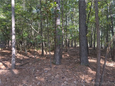 Carolina Lakes Lot For Sale in Sanford North Carolina
