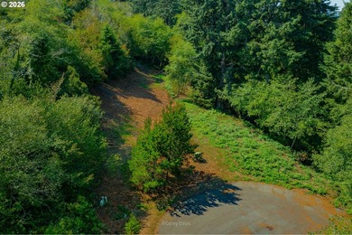 2/3 of an acre prepped and ready for construction. Above grade - photo 4