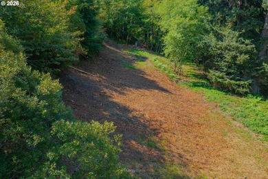 2/3 of an acre prepped and ready for construction. Above grade - photo 5