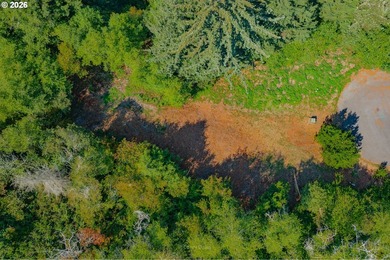 2/3 of an acre prepped and ready for construction. Above grade - photo 6