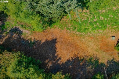 2/3 of an acre prepped and ready for construction. Above grade - photo 7