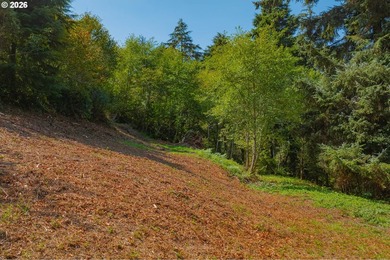 2/3 of an acre prepped and ready for construction. Above grade - photo 8