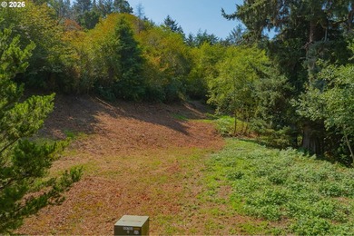 2/3 of an acre prepped and ready for construction. Above grade - photo 9