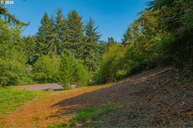 2/3 of an acre prepped and ready for construction. Above grade - photo 10