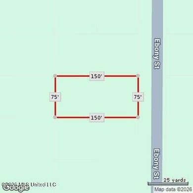 Buyer/Buyer's agent verify all information on listing. Land is - photo 1