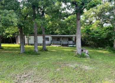 Lake Home For Sale in Frankston, Texas