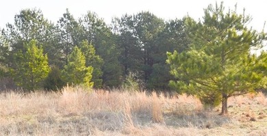 Take a look at this parcel of undeveloped pasture just a mile - photo 12