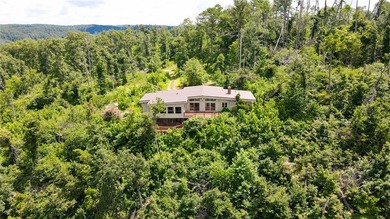 Overlooking the War Eagle River, this remarkable property offers - photo 2