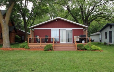 Lake Home For Sale in Ida Twp, Minnesota