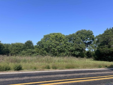 Lake Acreage For Sale in Joaquin, Texas