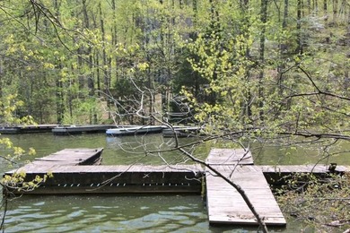 DOCK,LAKE FRONT & AMAZING YR ROUND LAKE VIEWS,* OK,4 BR/4 BA - photo 4
