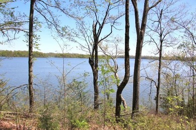 DOCK,LAKE FRONT & AMAZING YR ROUND LAKE VIEWS,* OK,4 BR/4 BA - photo 5